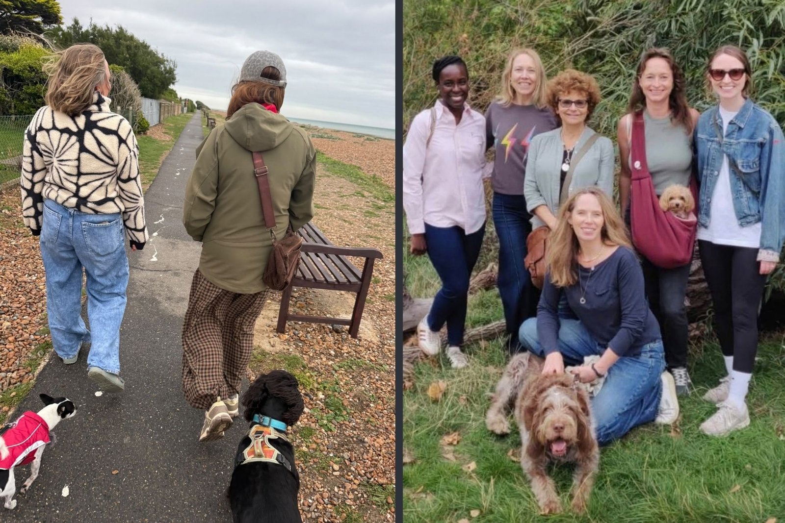 Two images of the recent fertility Walk & Talks show two groups of people on the right is a group of people posing and smiling around a large brown dog. On the left are two people walking ahead on the beach with their dogs